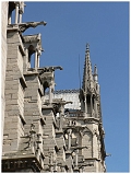 photo-notre-dame-paris (1)